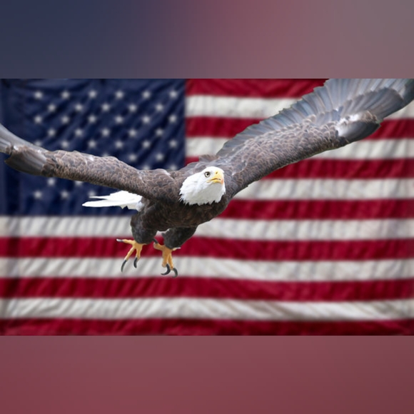 💎 XXL 2pc VS Very Sexy Ziggy Glam Shine Fishnet Bralette & V-String Set 💎 - Picture 14 of 16